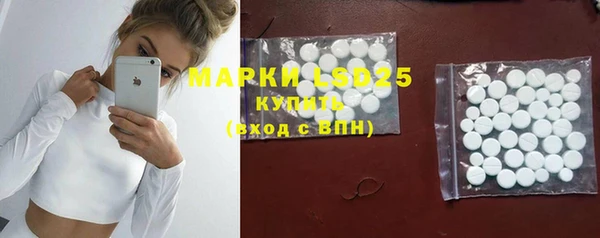 ПСИЛОЦИБИНОВЫЕ ГРИБЫ Майский