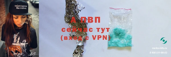 ПСИЛОЦИБИНОВЫЕ ГРИБЫ Майский