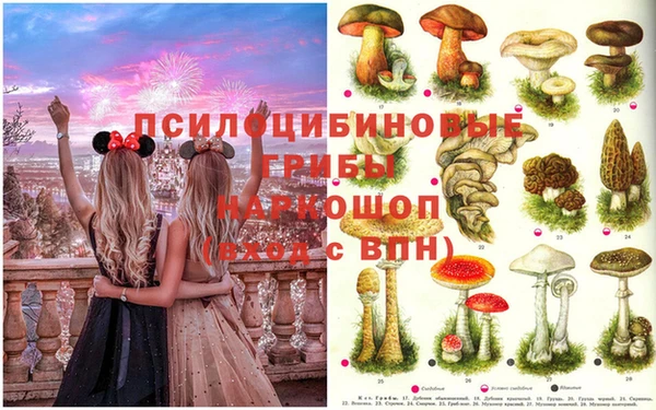 ПСИЛОЦИБИНОВЫЕ ГРИБЫ Майский