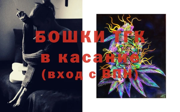 ПСИЛОЦИБИНОВЫЕ ГРИБЫ Майский