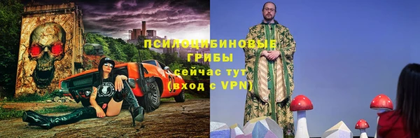 гашик Вяземский