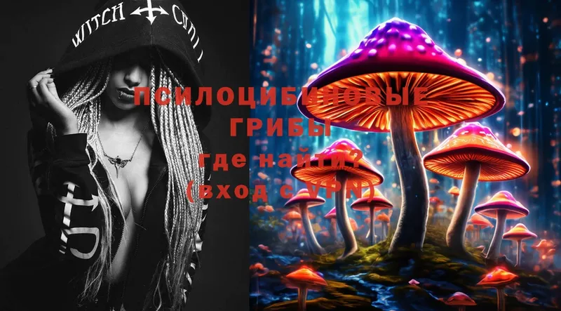 сколько стоит  Елабуга  Псилоцибиновые грибы Psilocybe 