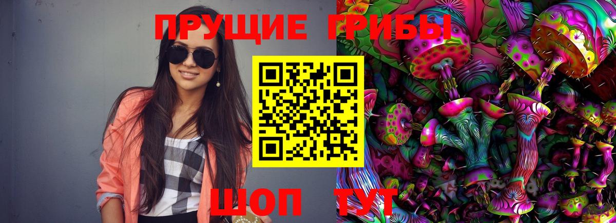 Псилоцибиновые грибы Psilocybine cubensis  Елабуга  наркота  Галлюциногенные грибы Cubensis 