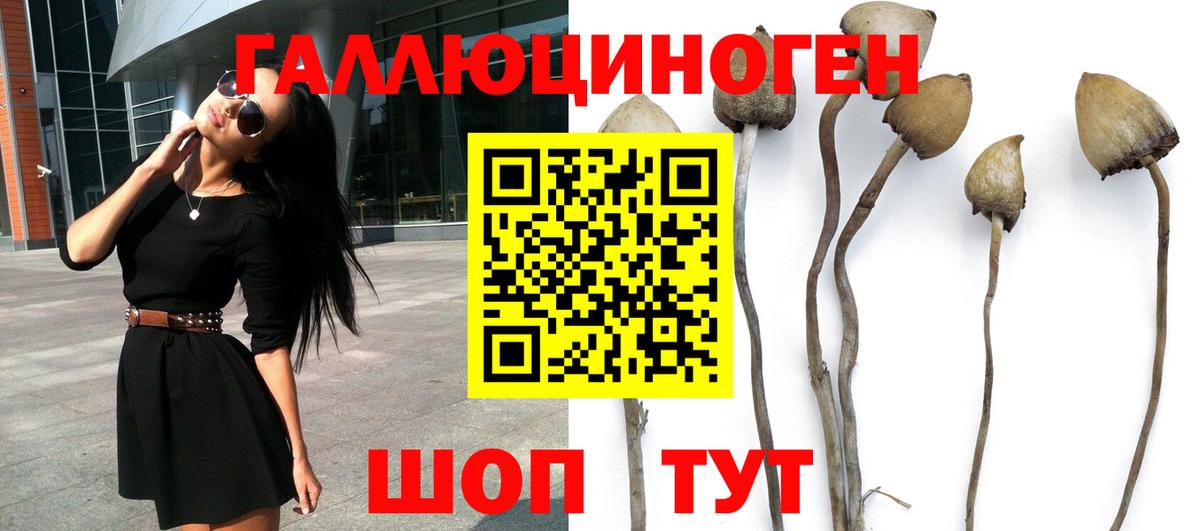 где найти наркотики  Псилоцибиновые грибы мухоморы  Вход с VPN  Елабуга 
