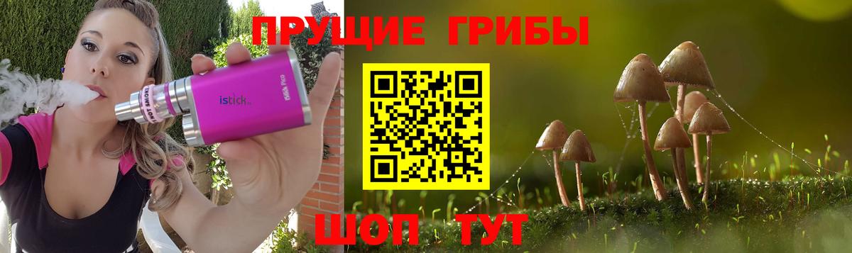 Псилоцибиновые грибы Magic Shrooms Елабуга